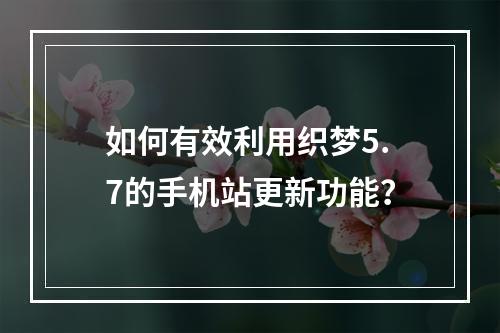 如何有效利用织梦5.7的手机站更新功能?
