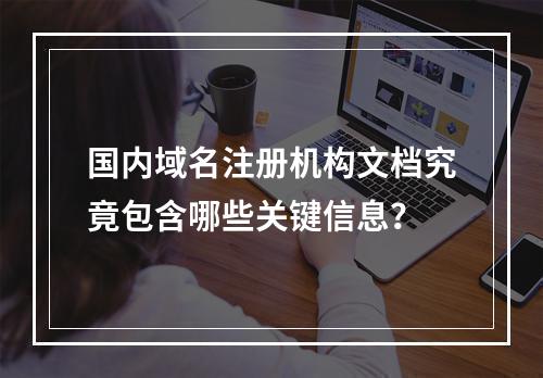 国内域名注册机构文档究竟包含哪些关键信息?
