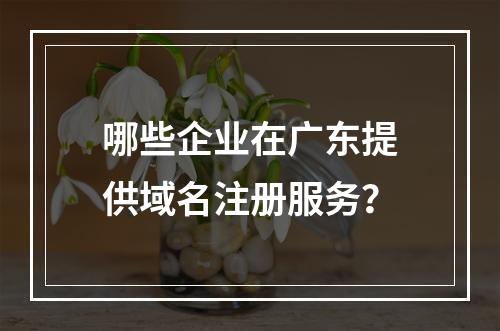 哪些企业在广东提供域名注册服务?