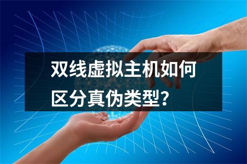 双线虚拟主机如何区分真伪类型？