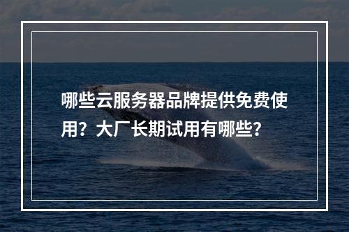 哪些云服务器品牌提供免费使用？大厂长期试用有哪些？