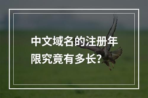 中文域名的注册年限究竟有多长?