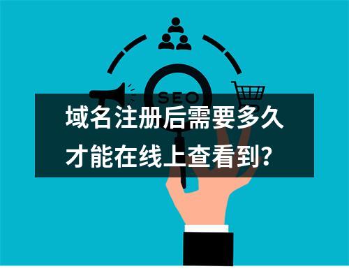域名注册后需要多久才能在线上查看到?
