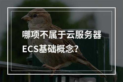 哪项不属于云服务器ECS基础概念？