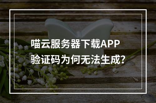 喵云服务器下载APP验证码为何无法生成？