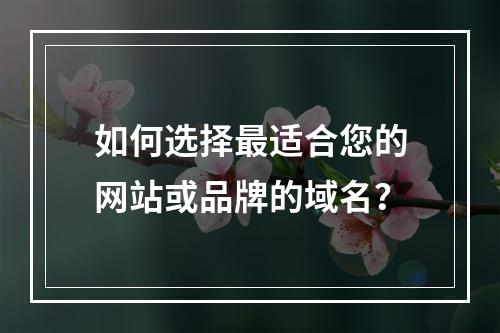 如何选择最适合您的网站或品牌的域名?