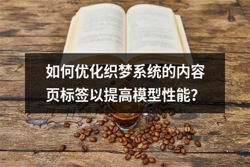 如何优化织梦系统的内容页标签以提高模型性能?