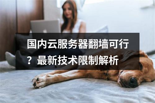 国内云服务器翻墙可行？最新技术限制解析