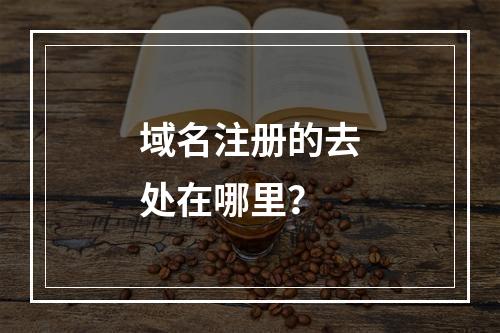域名注册的去处在哪里?