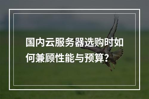 国内云服务器选购时如何兼顾性能与预算？