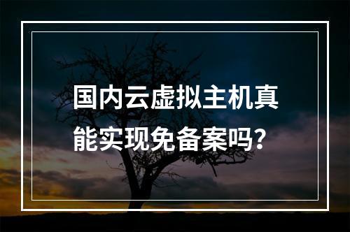 国内云虚拟主机真能实现免备案吗？