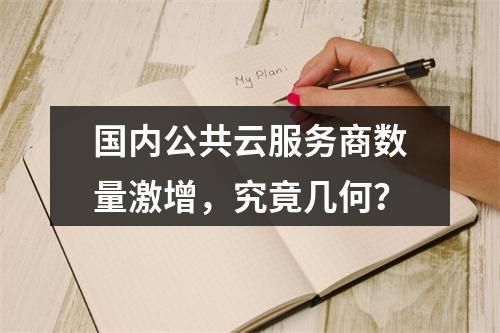 国内公共云服务商数量激增，究竟几何？