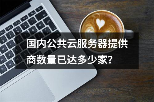 国内公共云服务器提供商数量已达多少家？