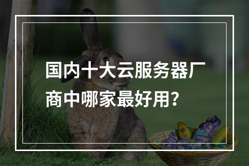 国内十大云服务器厂商中哪家最好用？