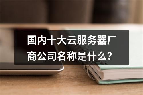 国内十大云服务器厂商公司名称是什么？