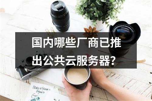 国内哪些厂商已推出公共云服务器？
