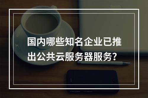国内哪些知名企业已推出公共云服务器服务？