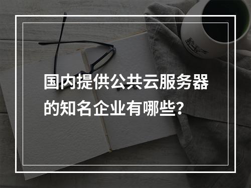 国内提供公共云服务器的知名企业有哪些？