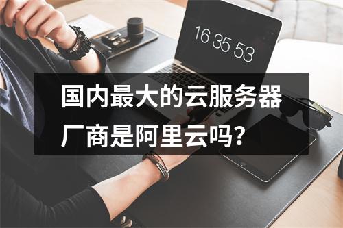 国内最大的云服务器厂商是阿里云吗？