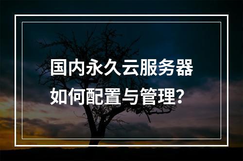 国内永久云服务器如何配置与管理？