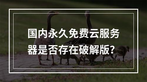 国内永久免费云服务器是否存在破解版？