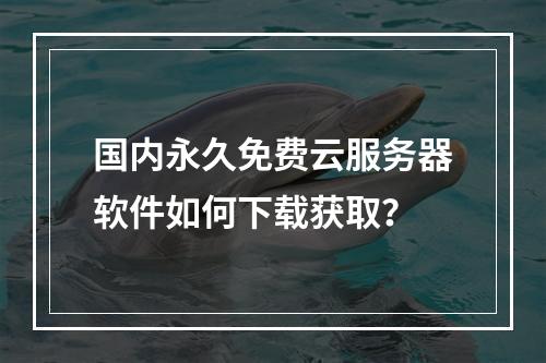 国内永久免费云服务器软件如何下载获取？