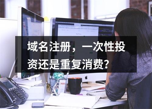 域名注册,一次性投资还是重复消费?