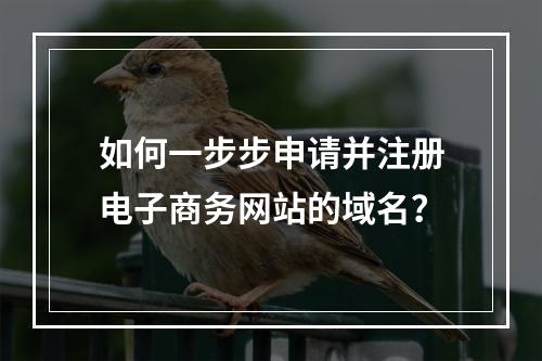 如何一步步申请并注册电子商务网站的域名?