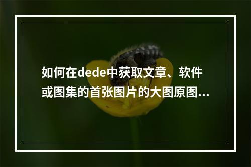 如何在dede中获取文章、软件或图集的首张图片的大图原图地址?
