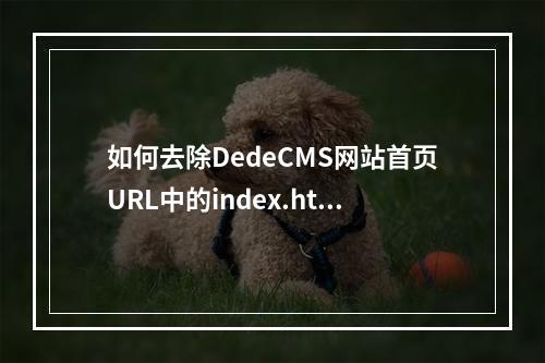 如何去除DedeCMS网站首页URL中的index.html后缀?