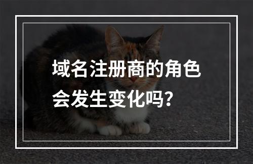 域名注册商的角色会发生变化吗?