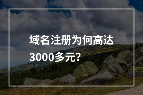 域名注册为何高达3000多元?