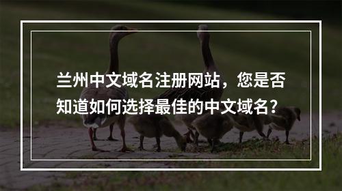 兰州中文域名注册网站,您是否知道如何选择最佳的中文域名?