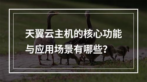 天翼云主机的核心功能与应用场景有哪些？