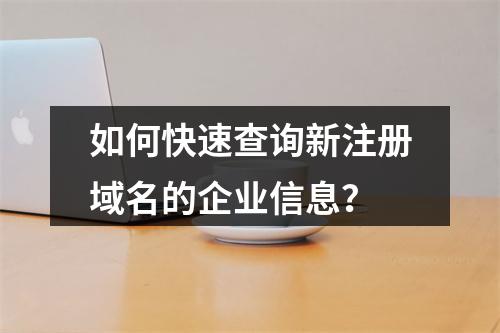 如何快速查询新注册域名的企业信息?