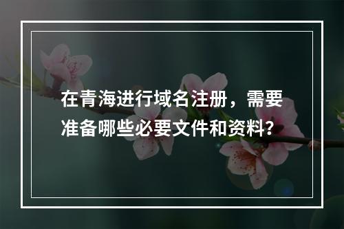 在青海进行域名注册,需要准备哪些必要文件和资料?
