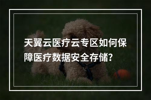 天翼云医疗云专区如何保障医疗数据安全存储？