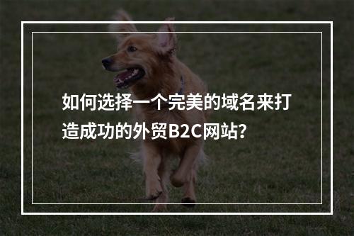 如何选择一个完美的域名来打造成功的外贸B2C网站?