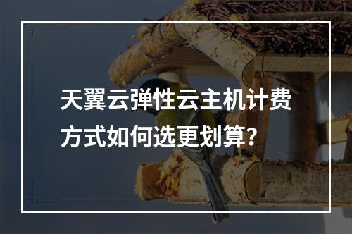 天翼云弹性云主机计费方式如何选更划算？