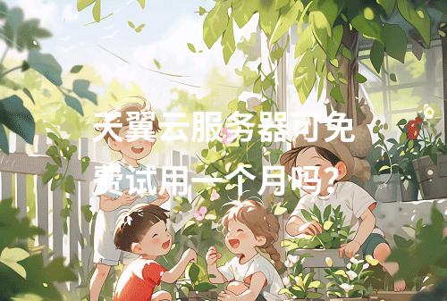 天翼云服务器可免费试用一个月吗？