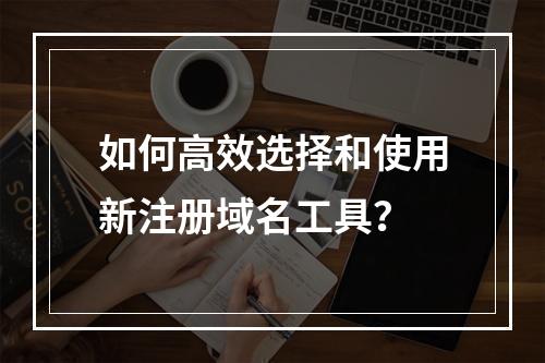 如何高效选择和使用新注册域名工具?