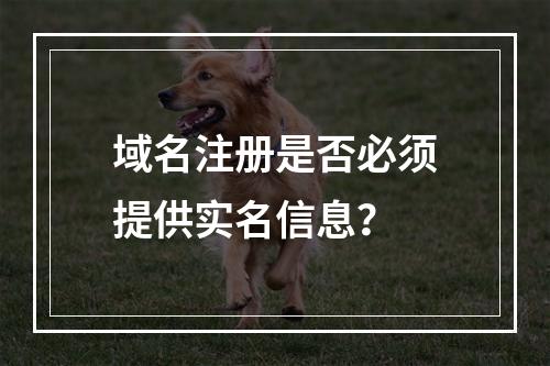 域名注册是否必须提供实名信息?
