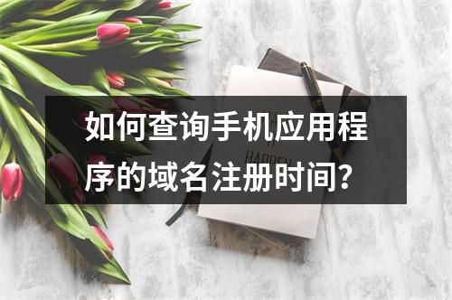 如何查询手机应用程序的域名注册时间?