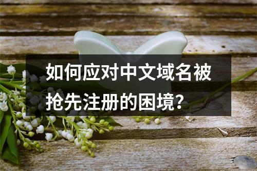 如何应对中文域名被抢先注册的困境?