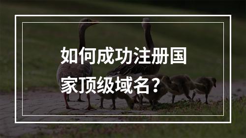 如何成功注册国家顶级域名?