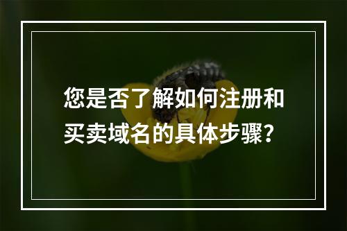 您是否了解如何注册和买卖域名的具体步骤?