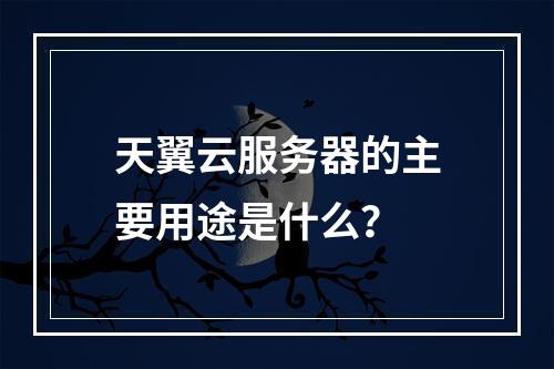 天翼云服务器的主要用途是什么？