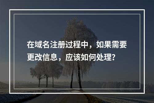 在域名注册过程中,如果需要更改信息,应该如何处理?