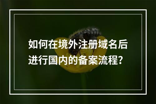 如何在境外注册域名后进行国内的备案流程?