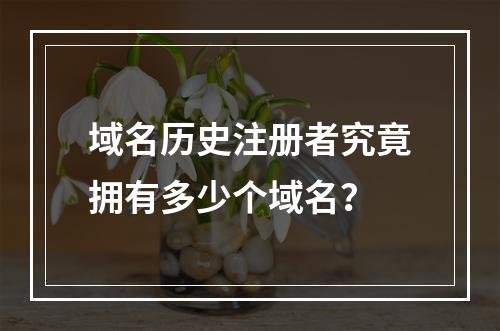 域名历史注册者究竟拥有多少个域名?